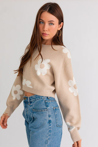 Long Sleeve Crop Sweater with Daisy Pattern Sweater